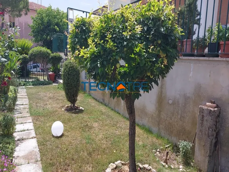 Dettaglio 12: Colonnella Trilocale con Giardino