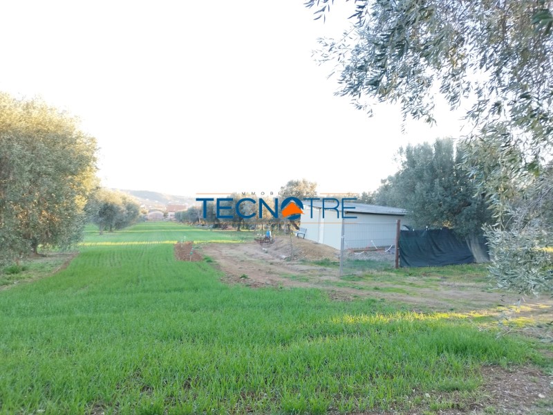 Dettaglio 4: Corropoli Terreno Agricolo