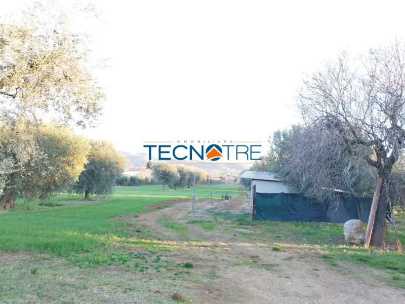Dettagli: Corropoli Terreno Agricolo