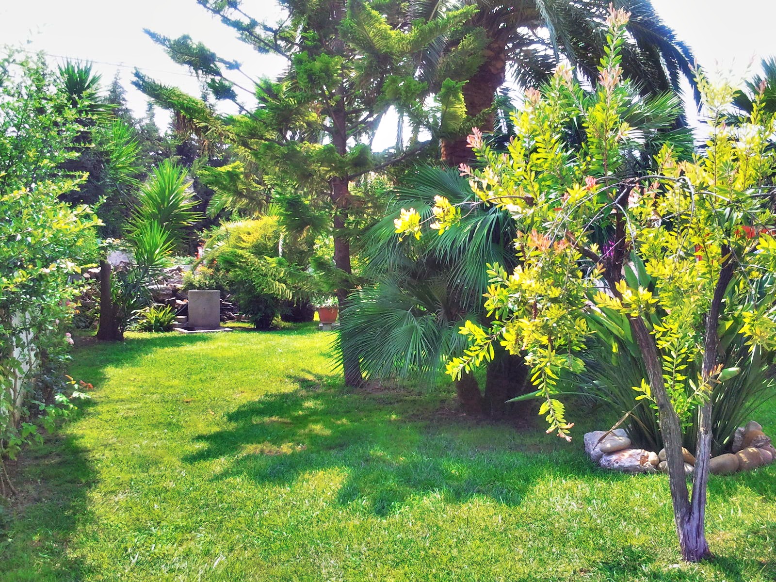 Dettagli: Latiano Villa con Giardino