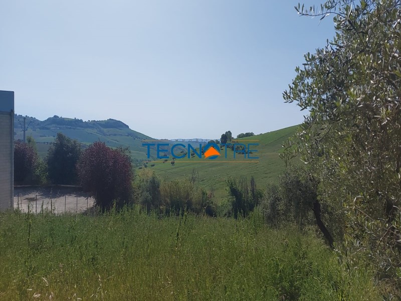 Dettaglio 7: Bellante Fabbricato con Terreno Edificabile/Agricolo